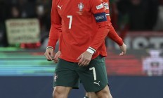 米兰体育亚洲官网-欧洲杯预选赛：葡萄牙大胜爱尔兰，提前晋级