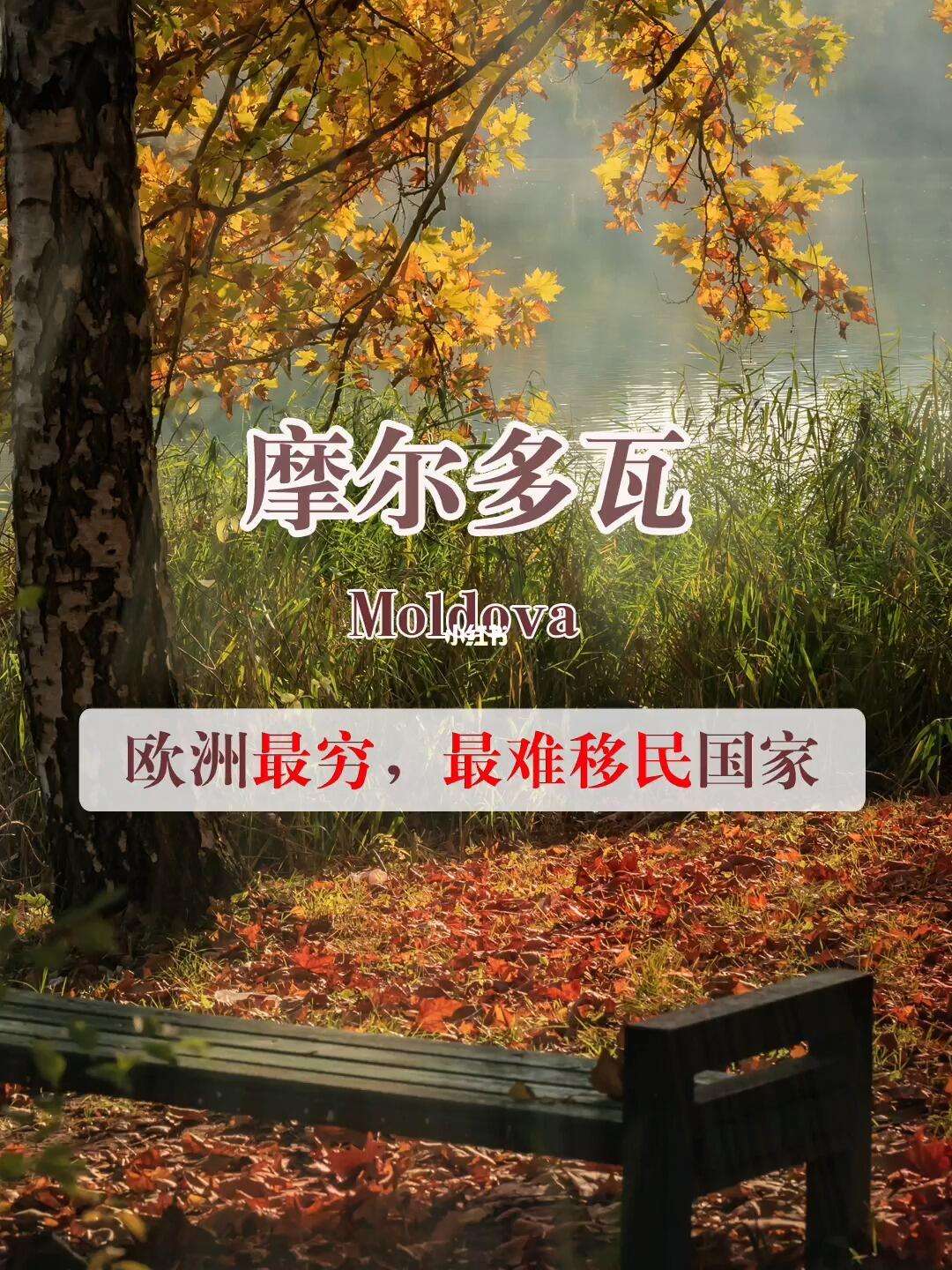 冰岛险胜摩尔多瓦，艰难晋级